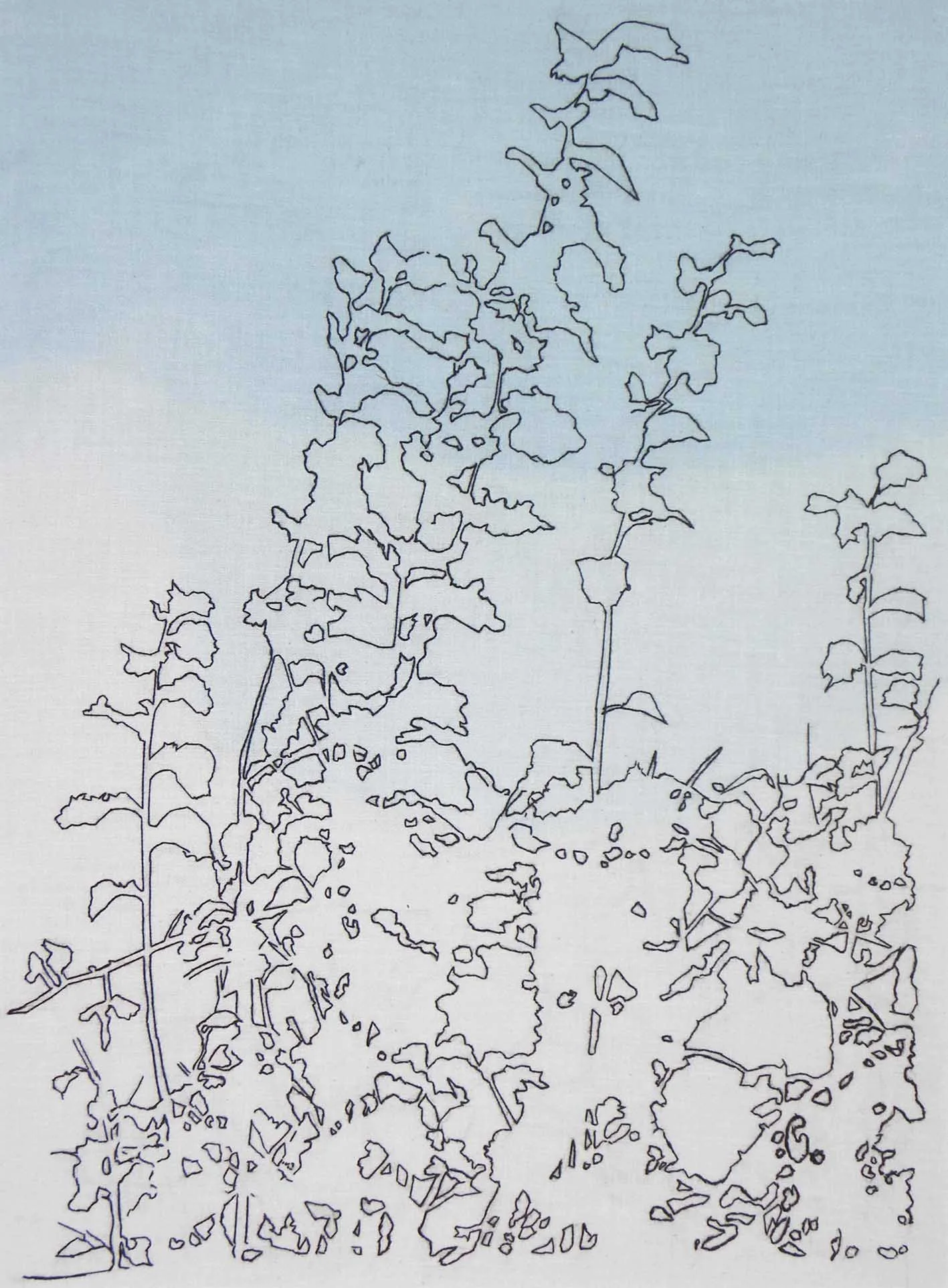 Egallery3BristolHedgerow.jpg