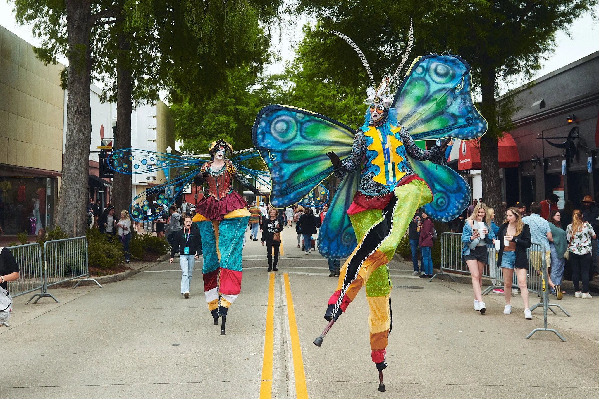 Butterfly and DF FIL 2023.jpg