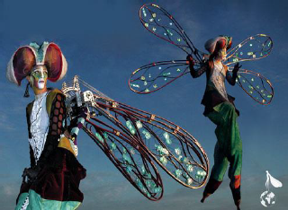 dragonfly.png