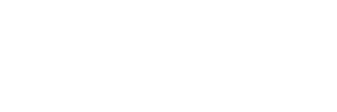 Danish Ventures