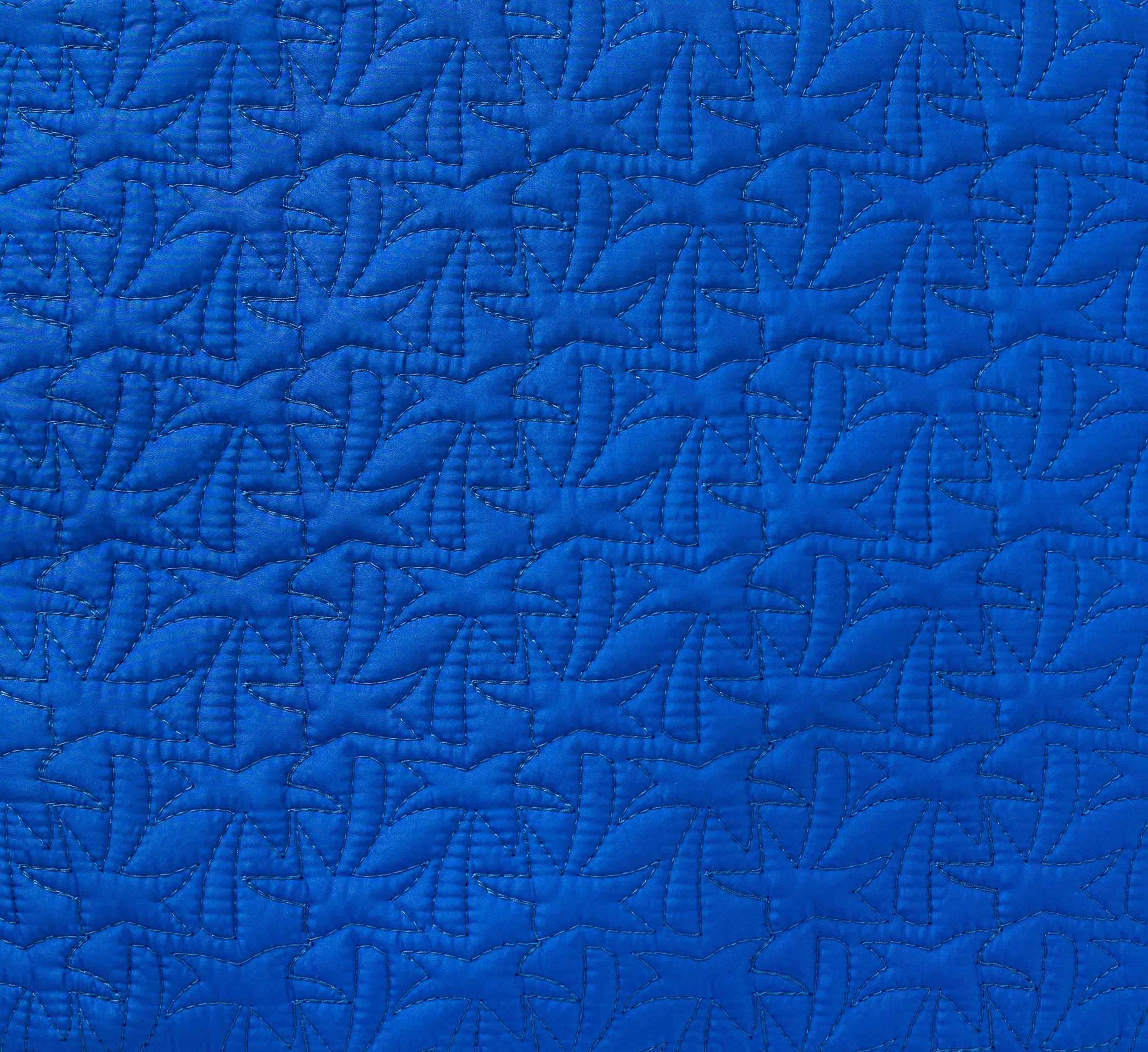 PALM TREE blue zoom.jpg
