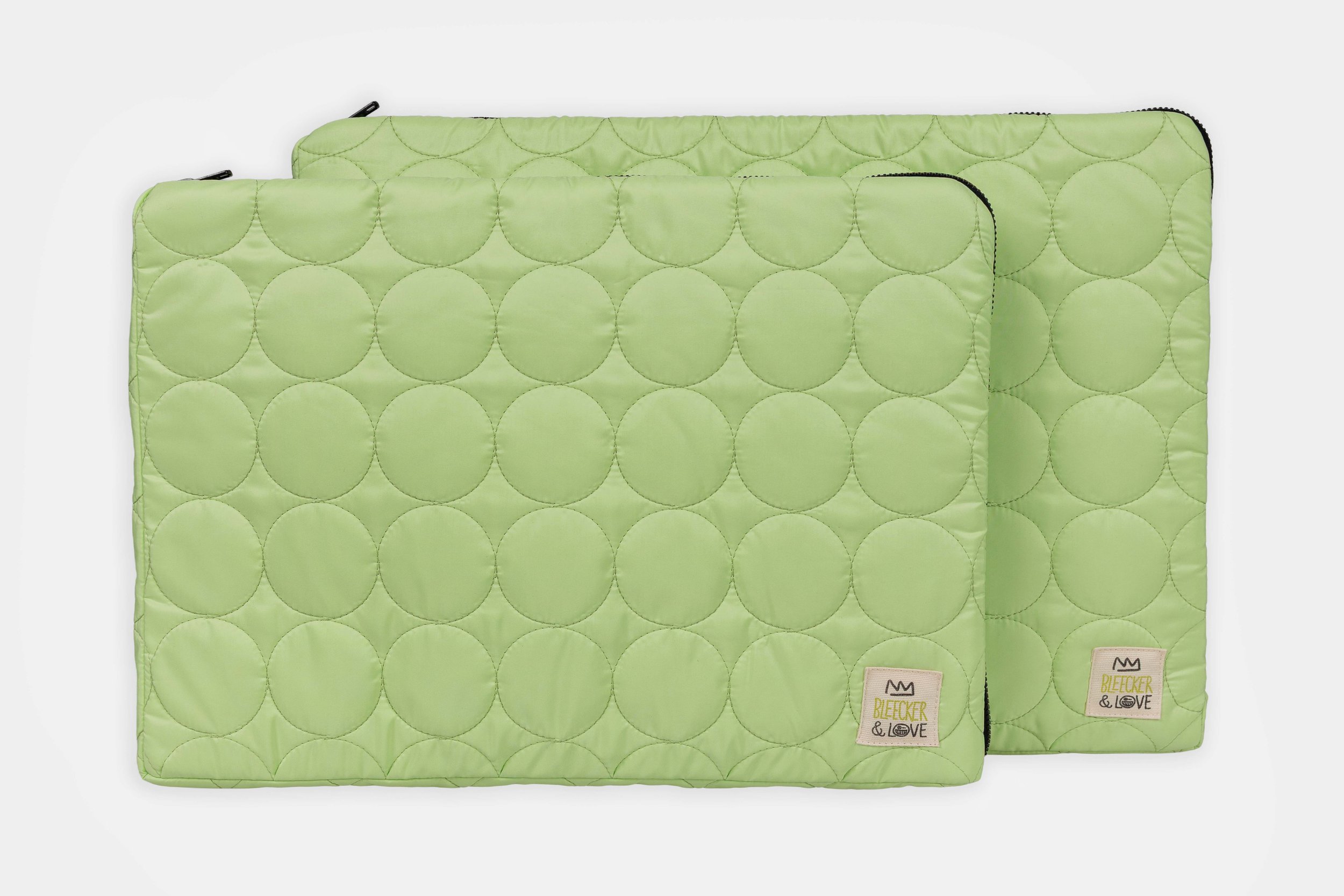 PISTACHIO LAPTOP CASE