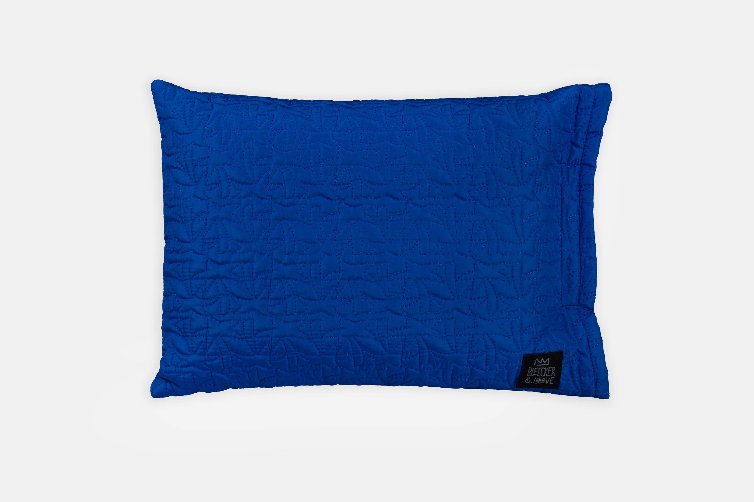 PALM TREE BLUE beach pillow.jpg