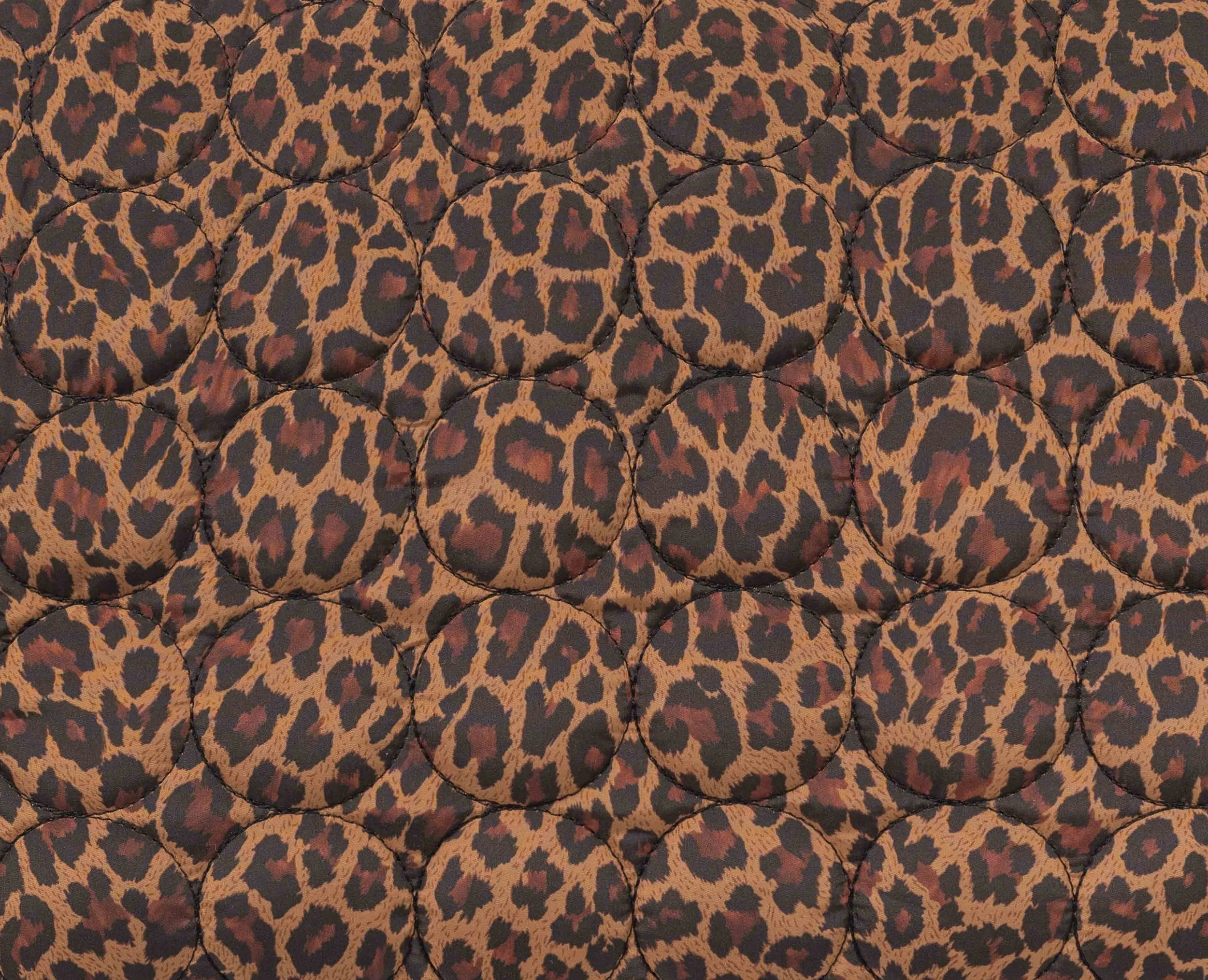 LEOPARDO zoom.jpg