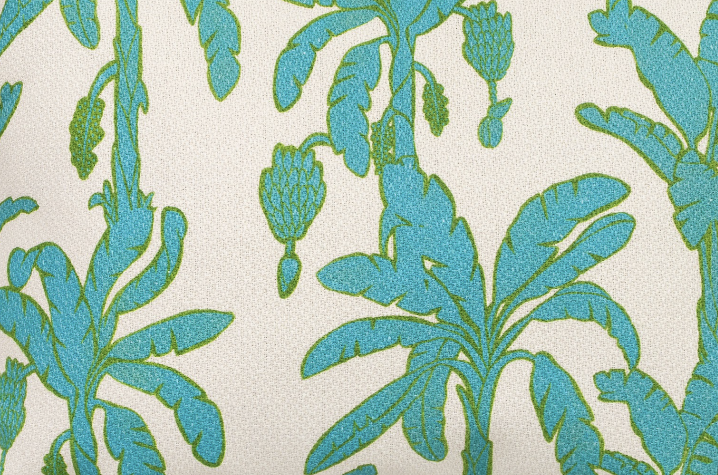 Screenshot 2026-01-22 at 11.16.22 AM.png