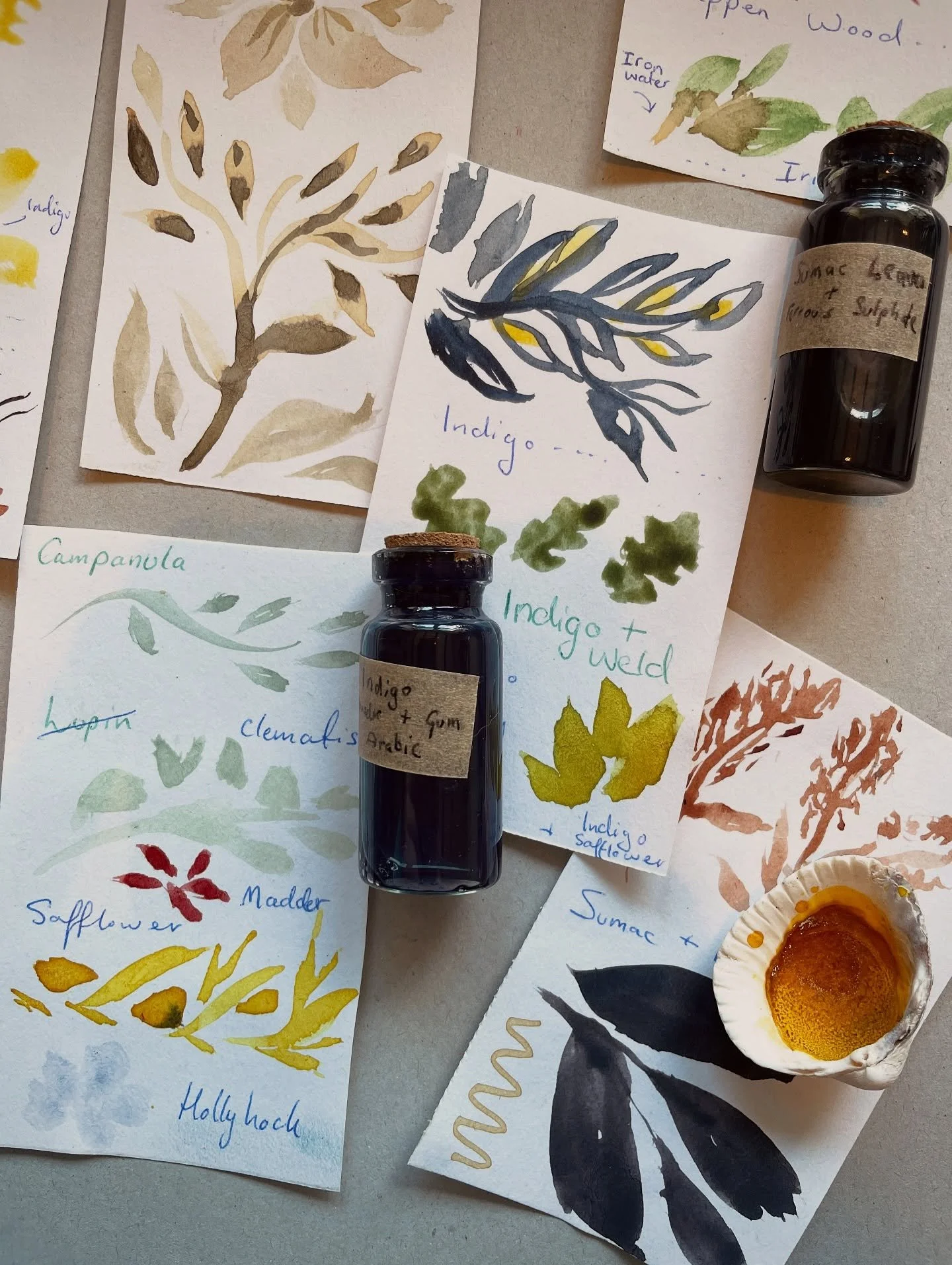 Had the most inspiring morning with the Wigtownshire artists & Makers group at a workshop with @old_mill_arts. Edward and Lucy were so generous with their knowledge and enthusiasm for all things botanical and incorporating this into materials to