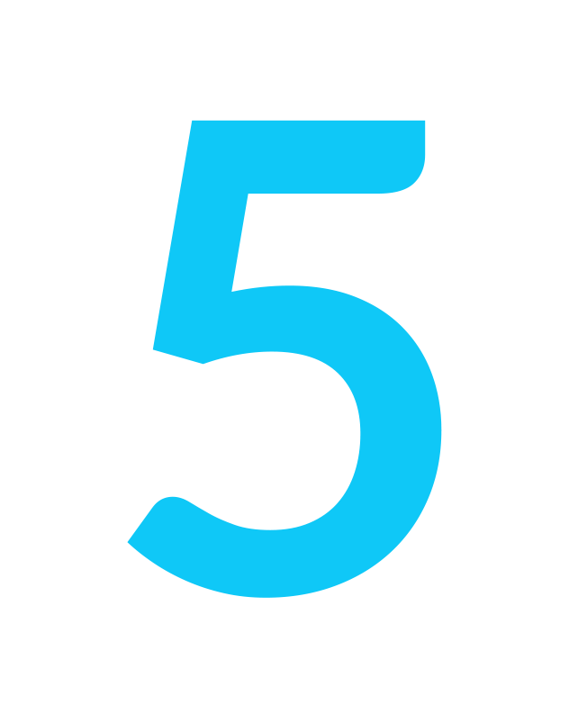 DGU.5 logo 2.png