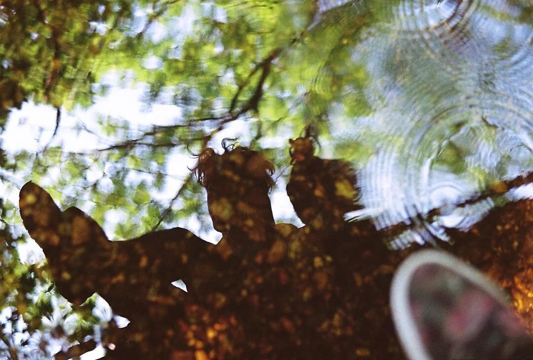 Take time to reflect.
_
_
_
#35mm #fujicamera #fujica #filmcamera #filmphotography #analogue #analogphotography #vintagecamera #fuji #onfilm #nature #green #water #river #stream #bridge #reflection #cute #couple #feet #newforest #forest #woods #vans 
