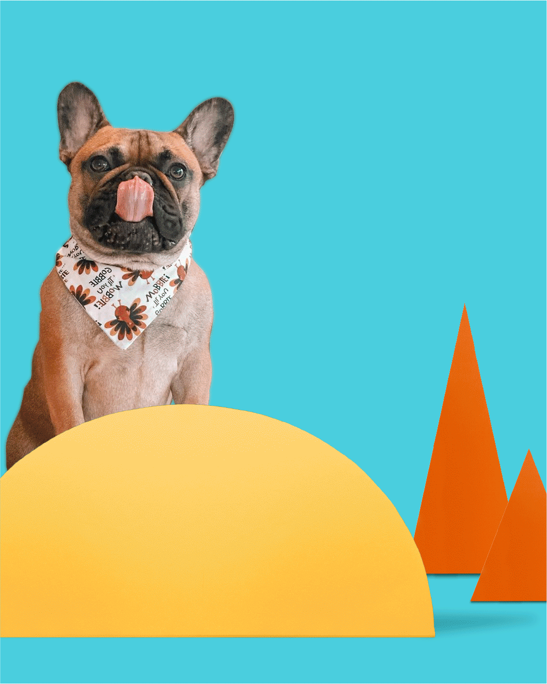 APA---FAQ-Carousel---Slide-1.gif