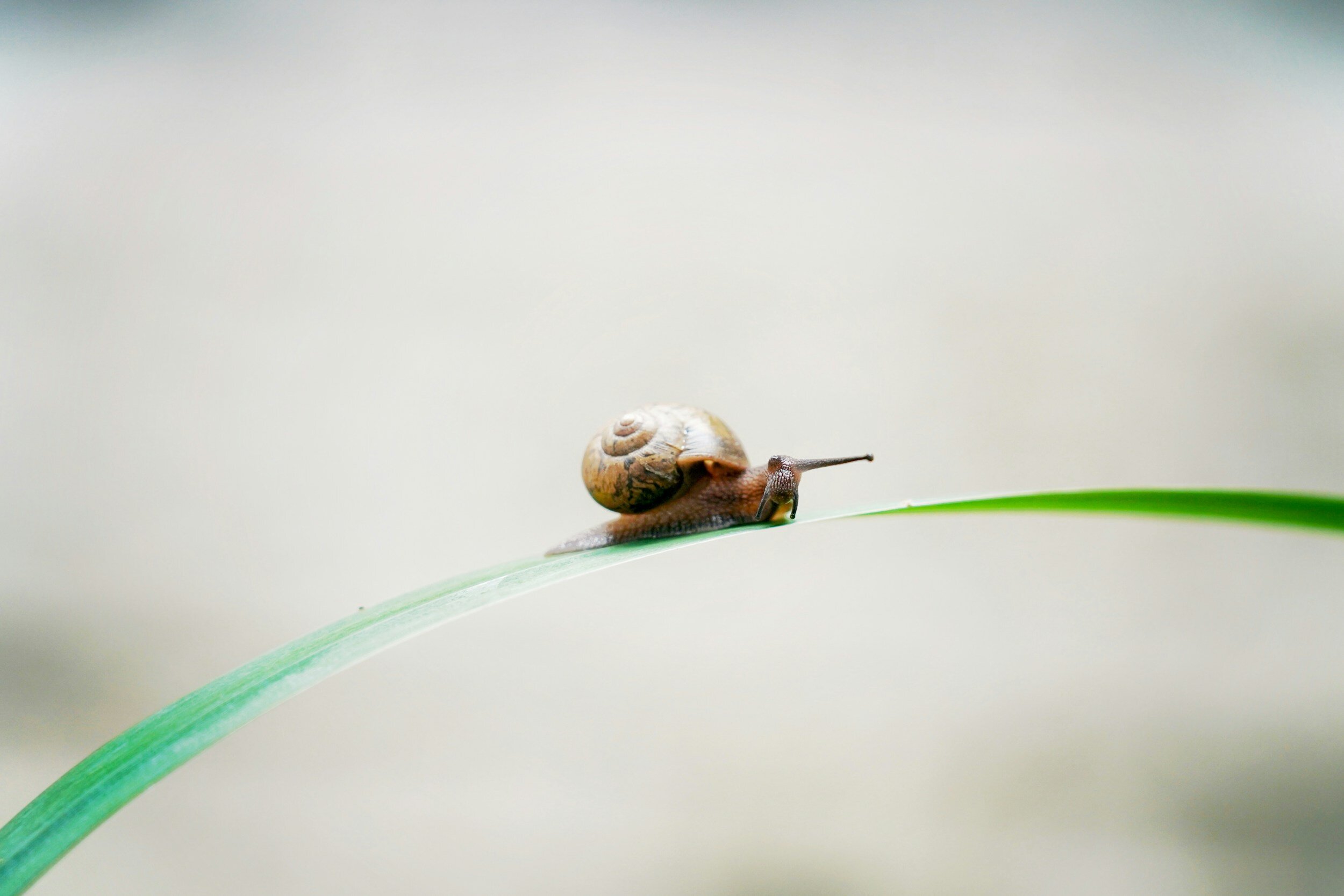 Tips for Nanny Agency Owners to Stay Positive When Business is Slow.