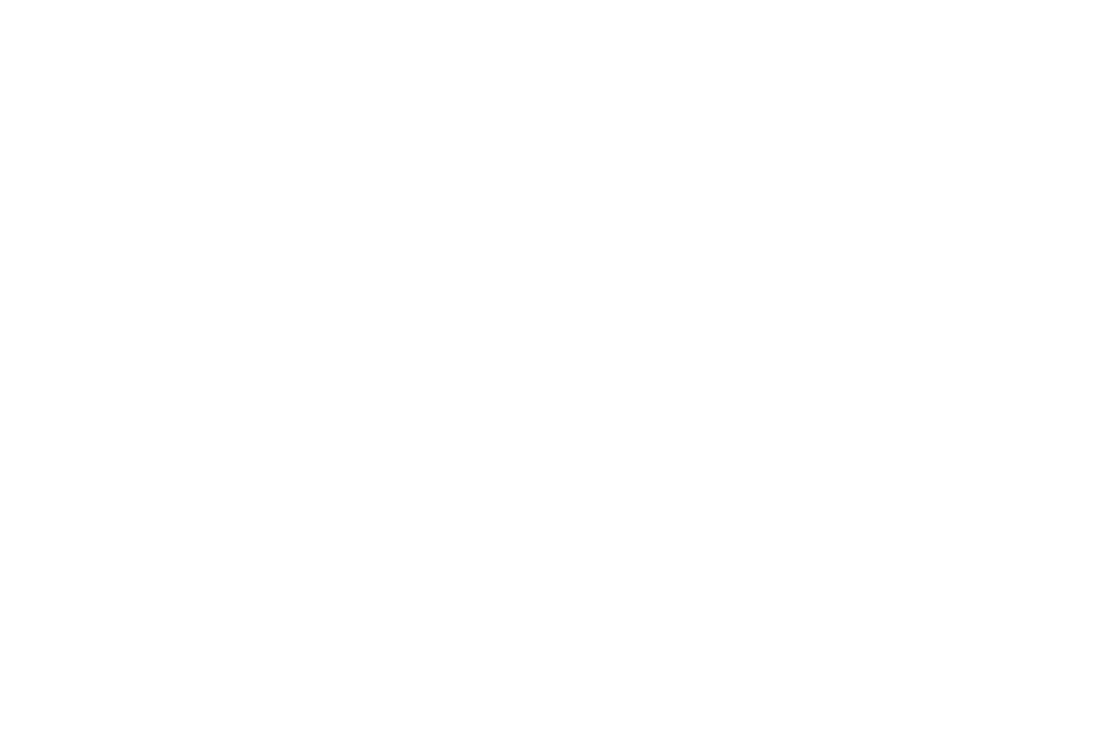Honest Partnership