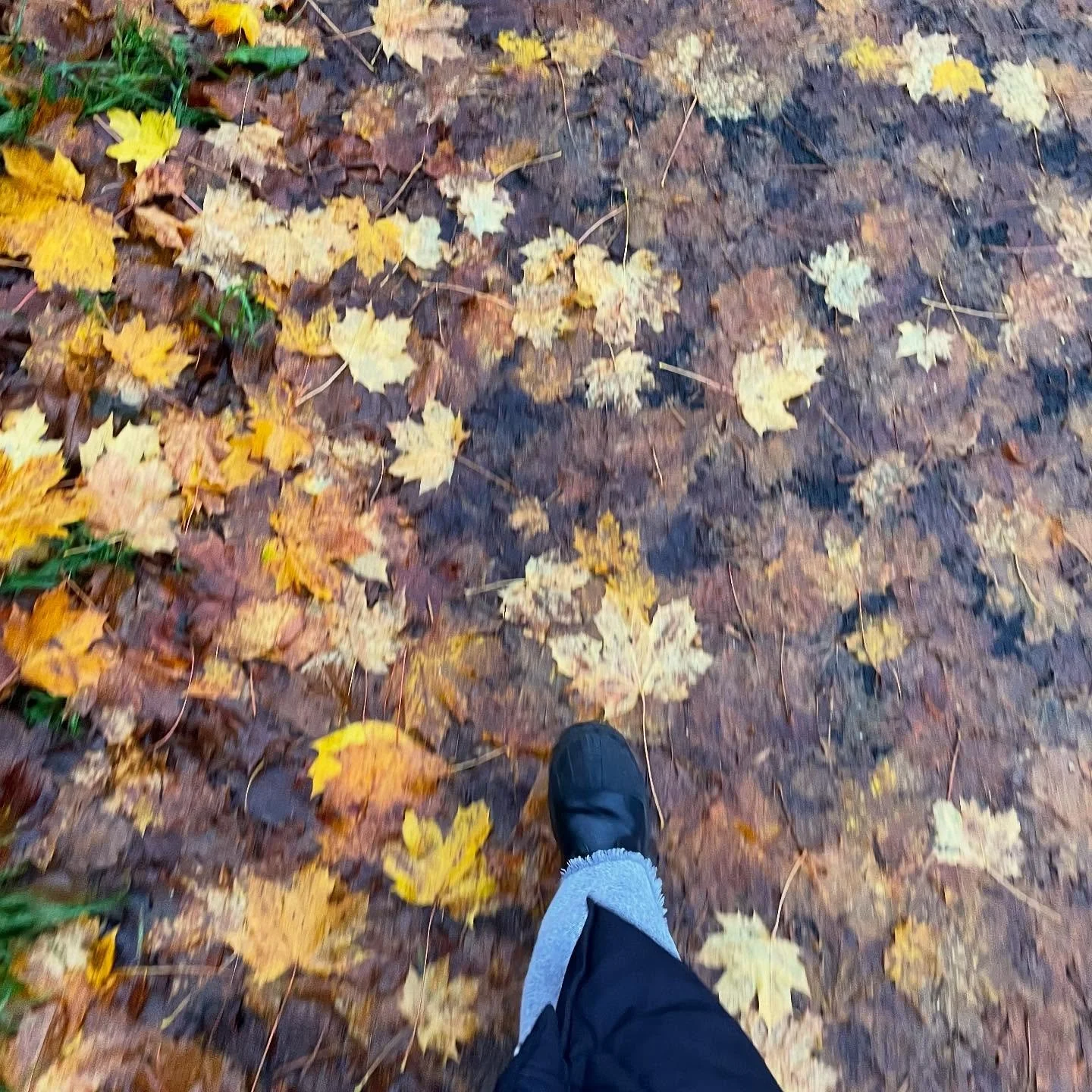 NOVEMBER

Did some cool work stuff, started to shape up ideas for future creative projects, crafted a lot (thanks @alyssasinnen for unwittingly providing festive inspiration), had dinner with pals, had dinner at home with my love, walked about, held 