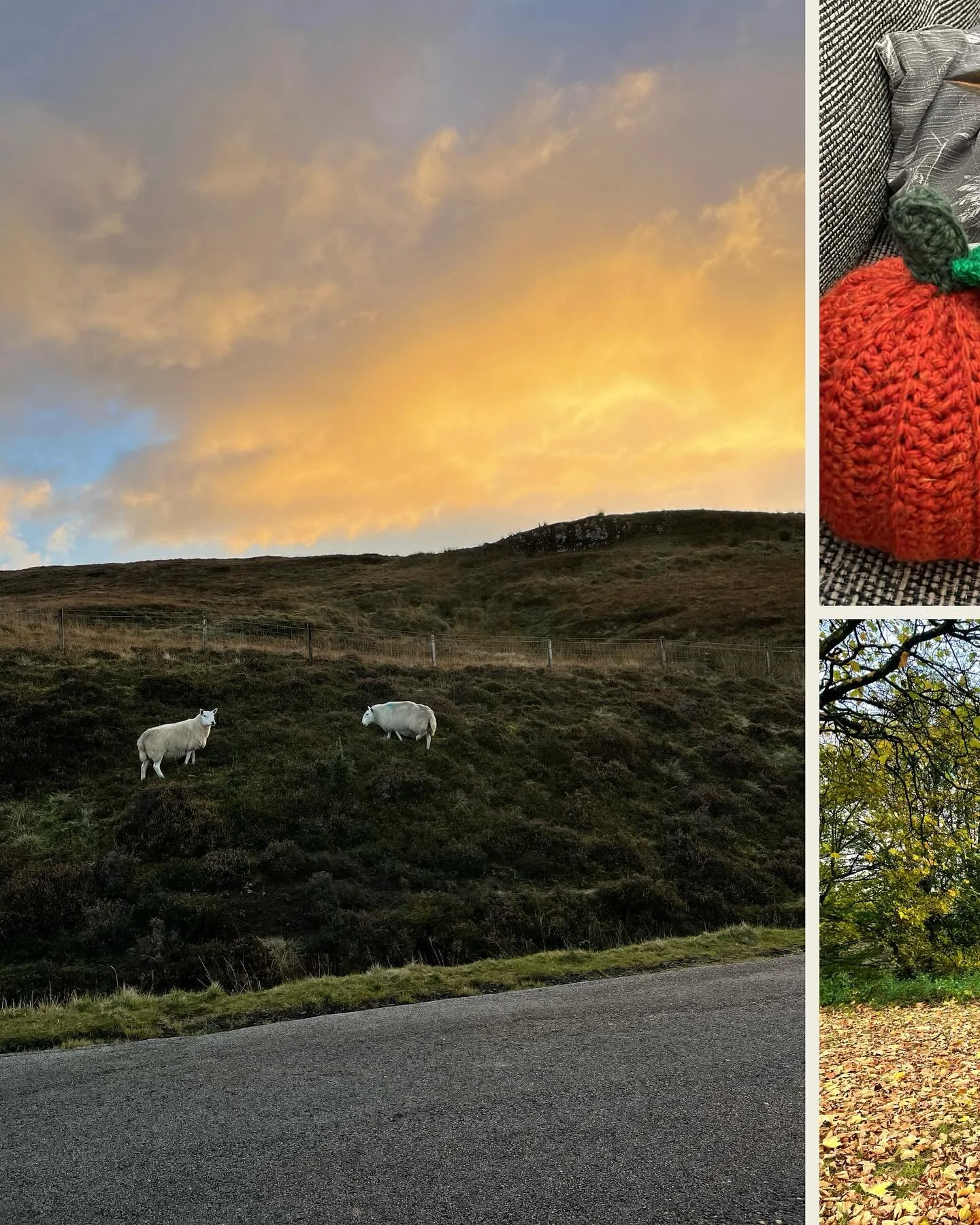 OCTOBER

It&rsquo;s the best month for a reason! Had dinner with old pals, craft nights with newer pals, celebrated family, and hosted a bunch of them for a Halloween party. Best bit? Spending our first wedding anniversary on my beloved Skye. 💕🍂🥃