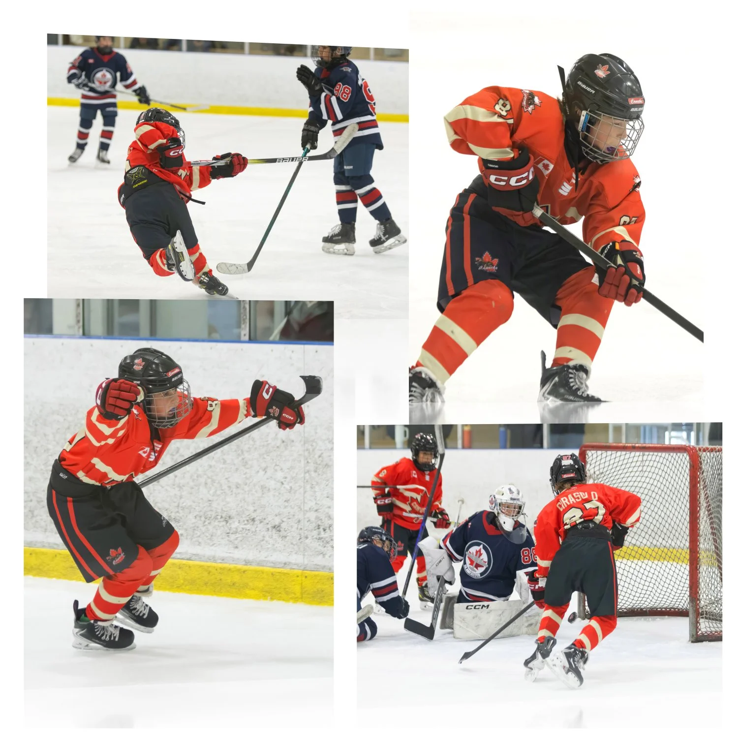 PLAYER Spotlight