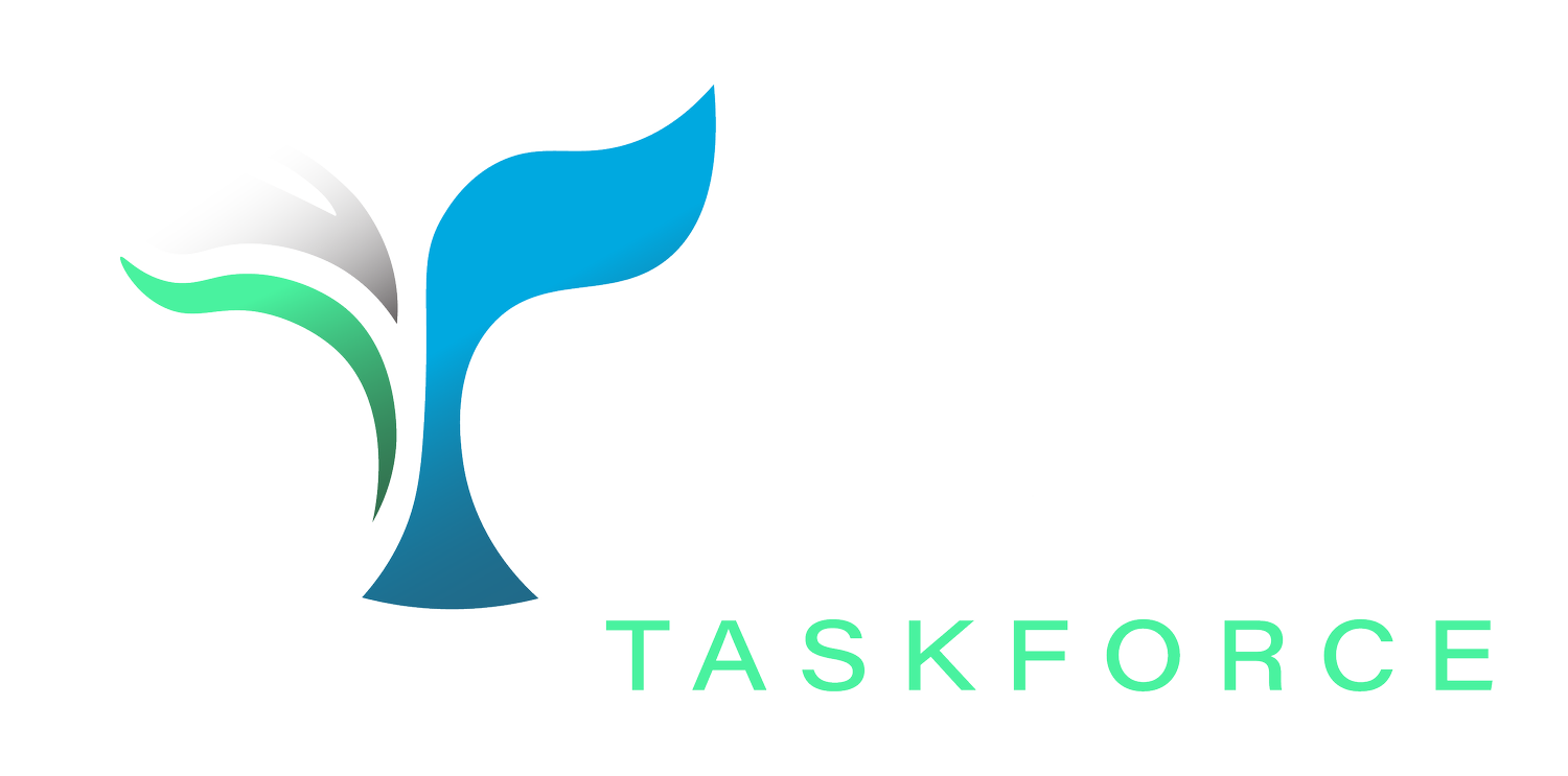 Whale and Vessel Safety Taskforce