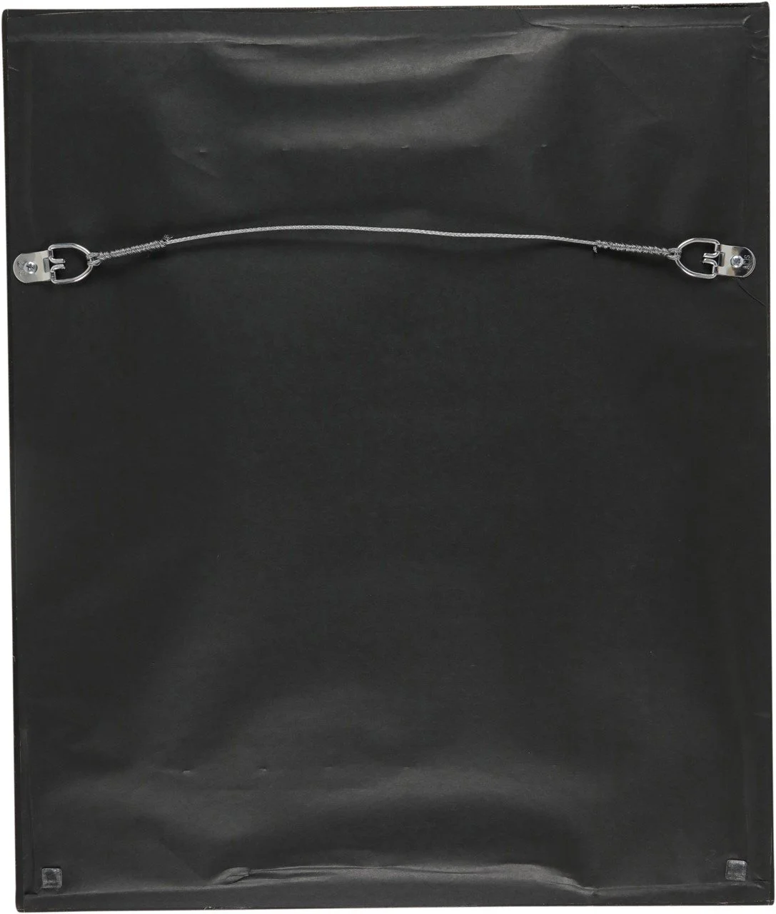 Laurel Futurity Back.jpeg