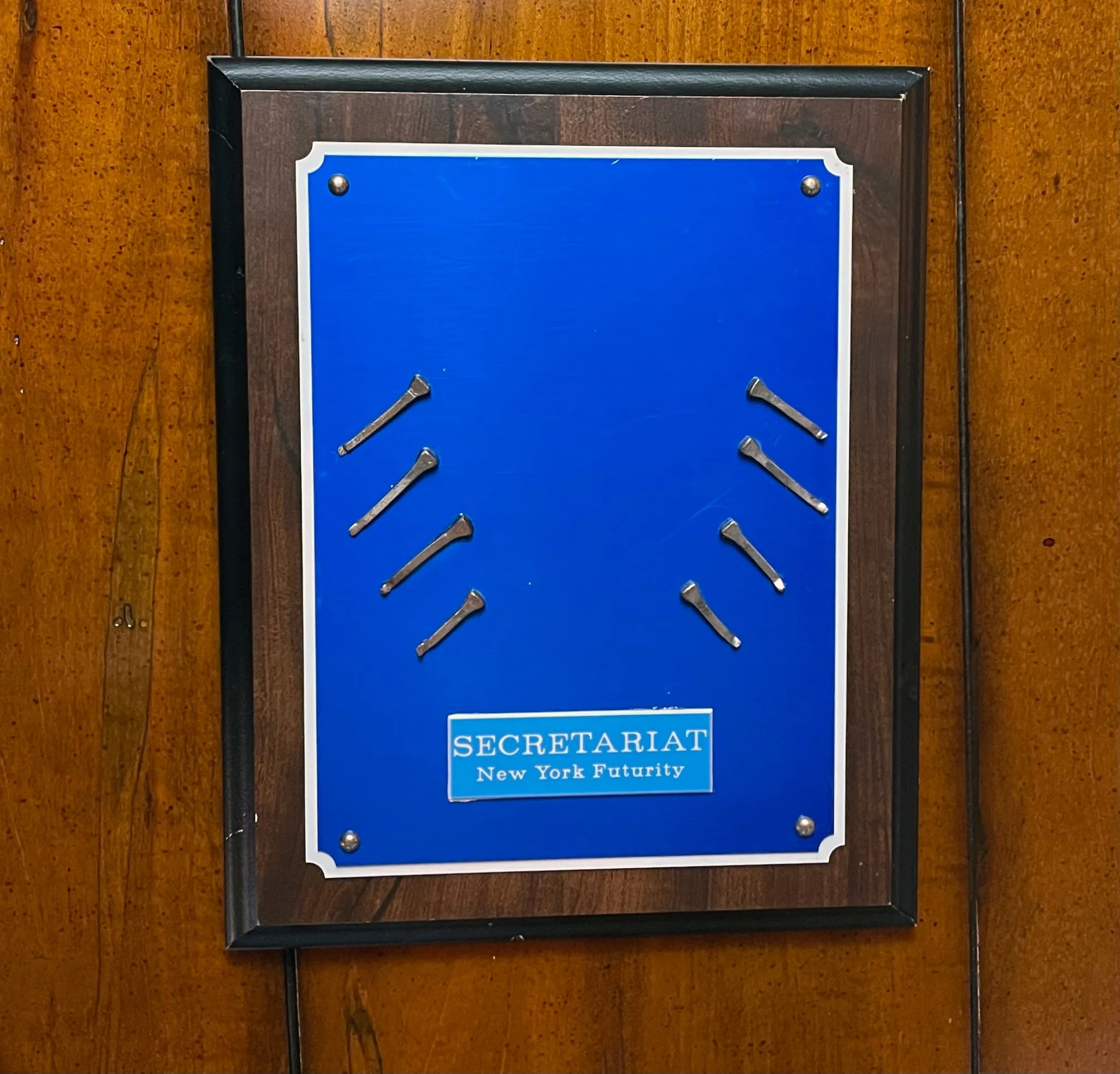 NY Futurity Final_.jpg