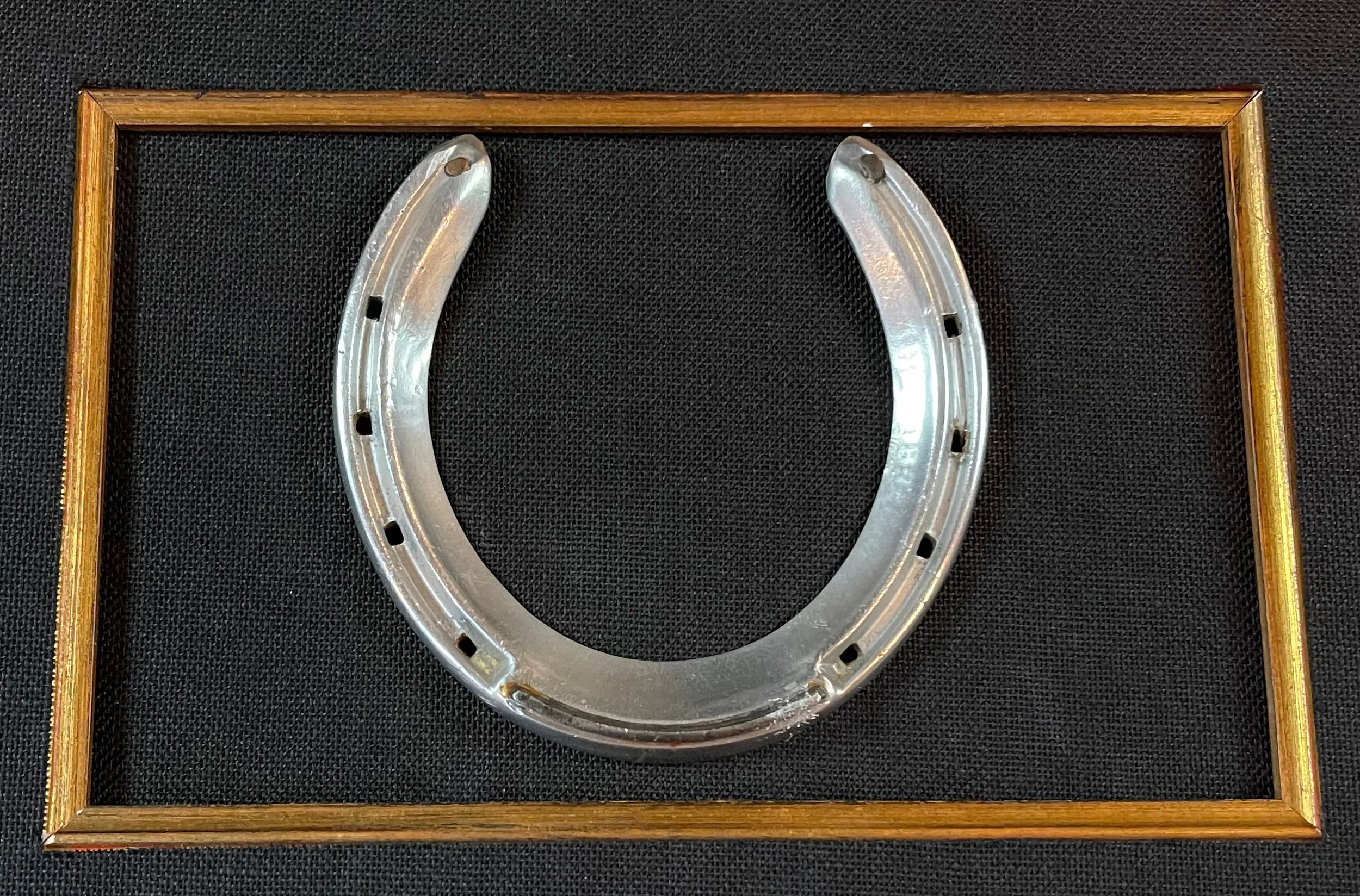 Horseshow.jpg