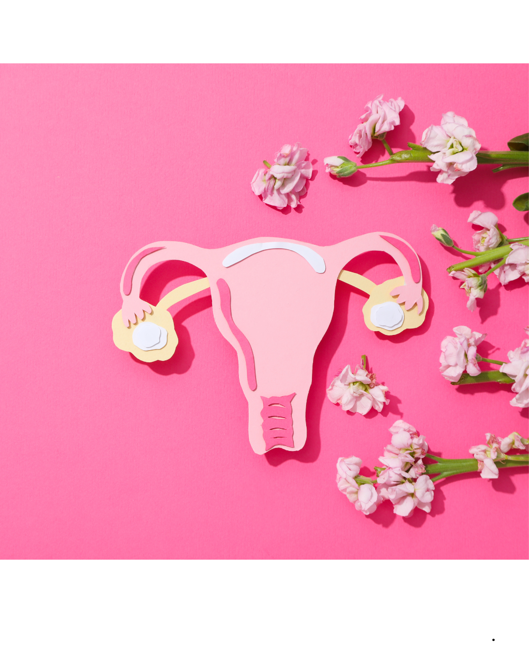 Understanding Your Cycle: Your Body Isn’t Random