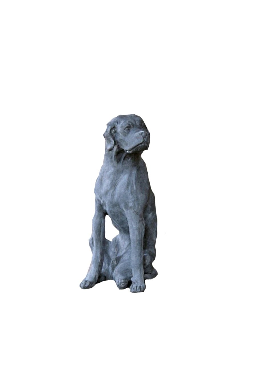 ridge+dog.jpg