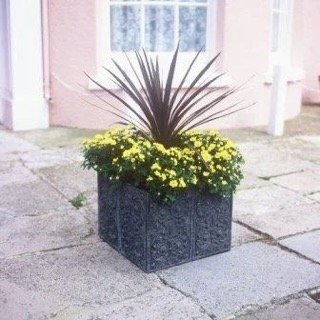 square victorian.jpeg