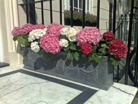 Georgian Lead Planters.jpeg