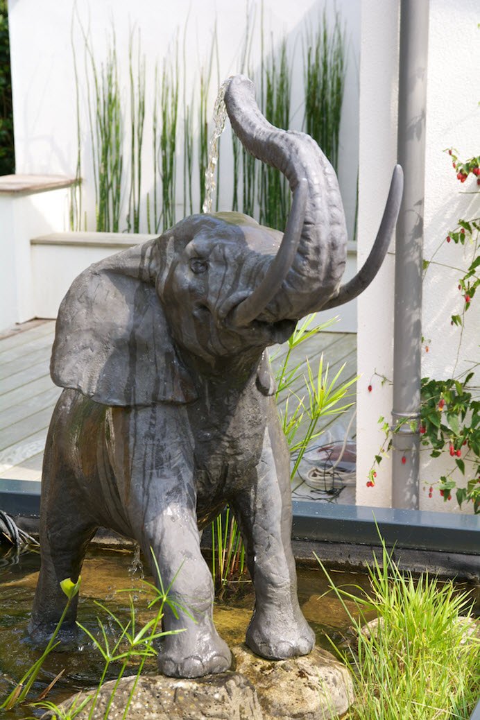 6. Elephant, head on.jpg
