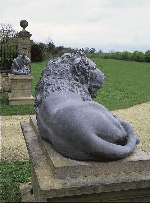 30. Lion back view (1).jpg