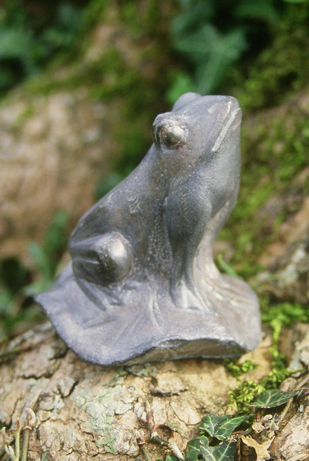 lead frog.jpg