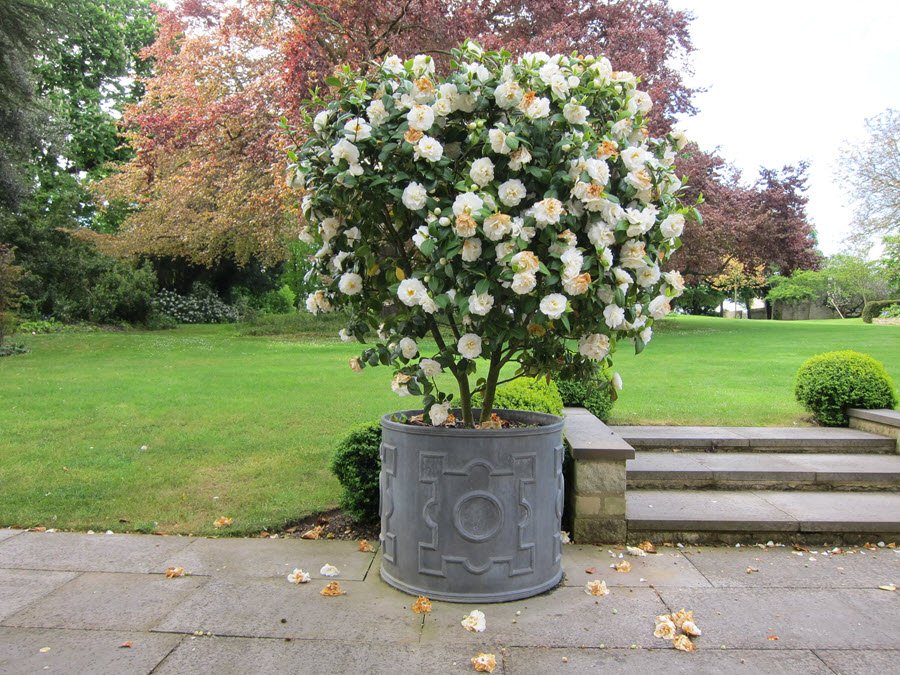 16. Two Foot Geometric circular.jpg