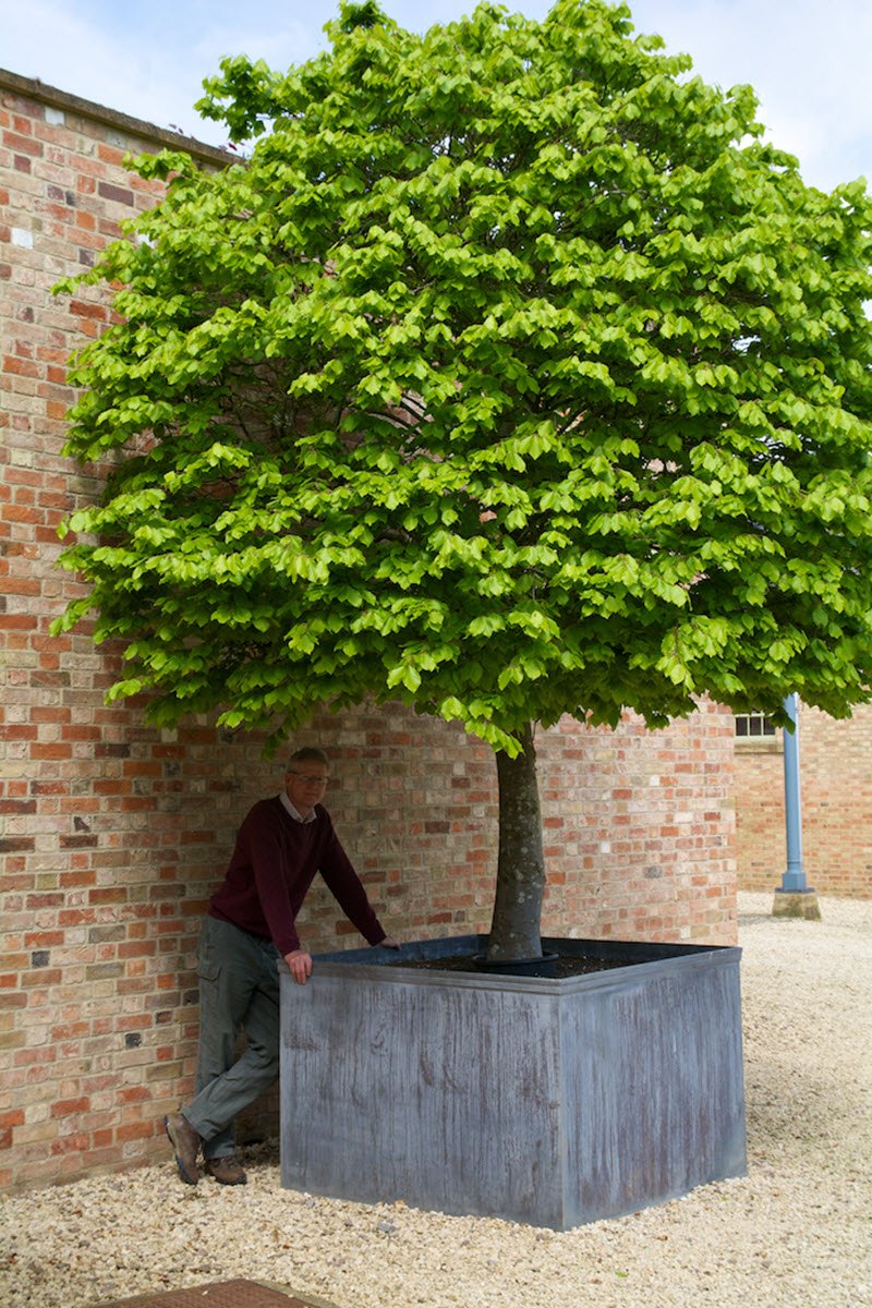 23. very large Blank planter.jpg