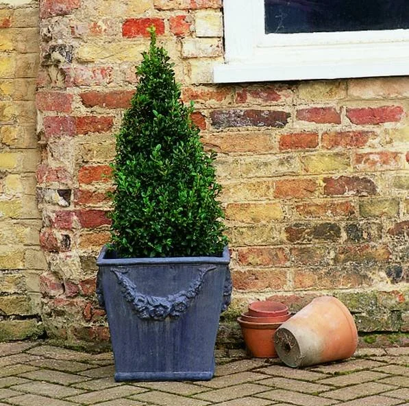 26. P4 Floral Lode.jpg