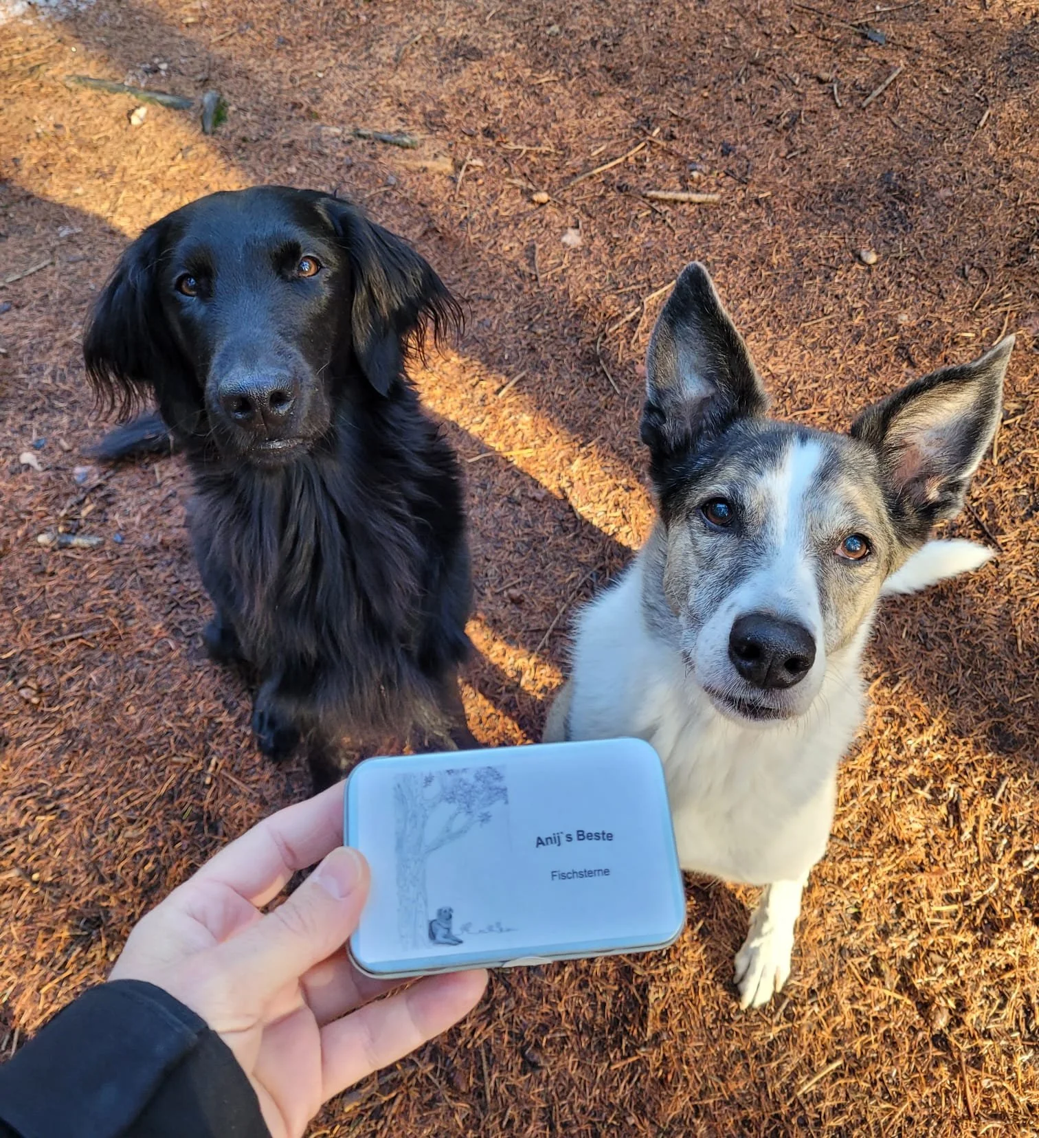 PHOTO-2023-01-18-17-48-50 2.jpg