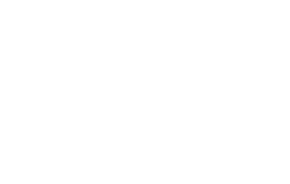 BestLife Homes logo