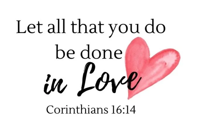 Discover Amber Lewis's Husband: A Journey Of Love And Interior Design