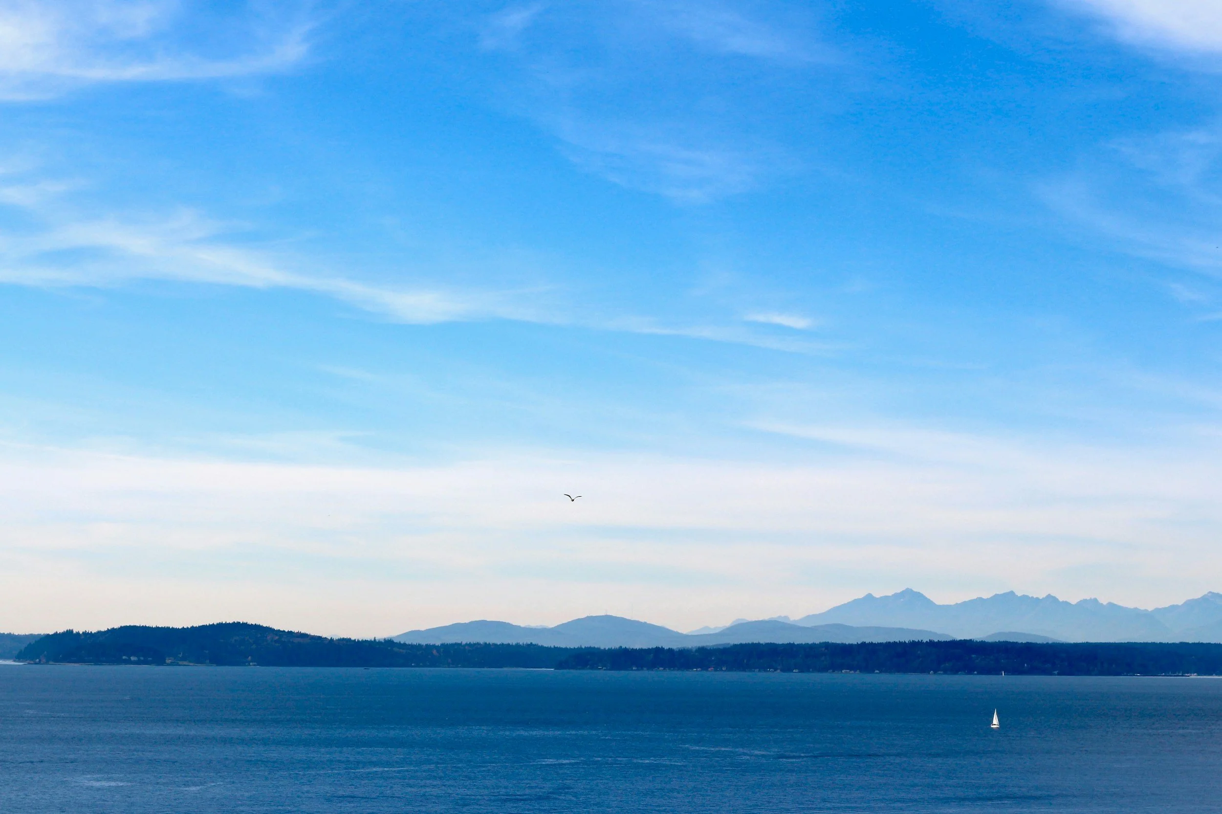 A body of water with a white sailboat in the distance, a tree-covered landmass, mountains in the background, and a bright blue sky with wispy clouds and a bird flying.