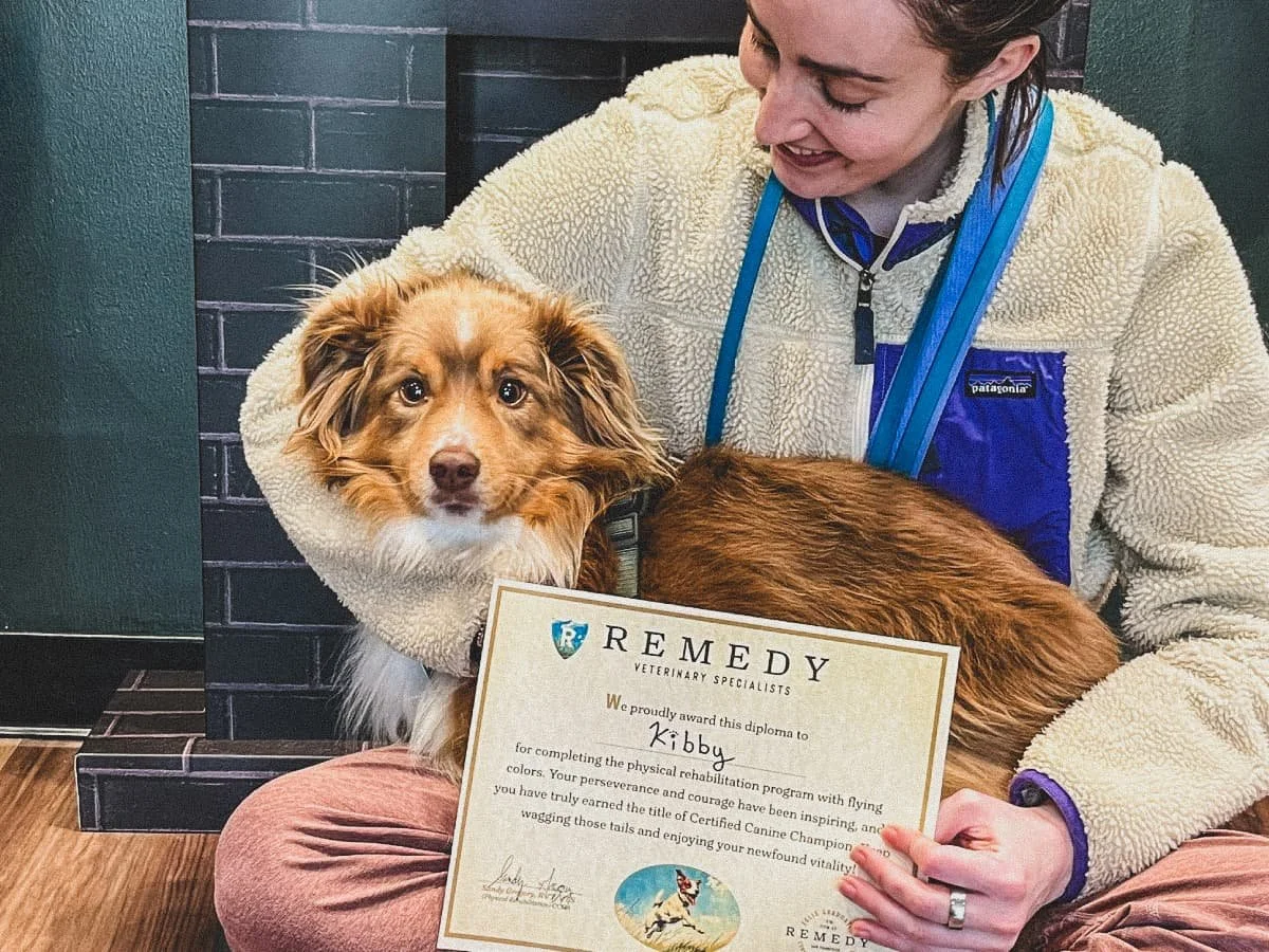 Remedy team member hugging Kibby, a fluffy tricolor dog, holding a Remedy graduation certificate