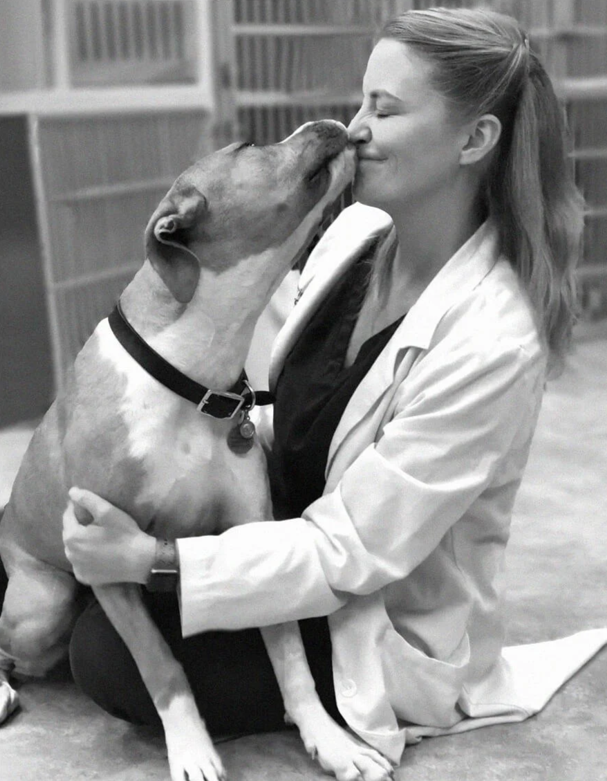 Remedy Veterinary Specialists