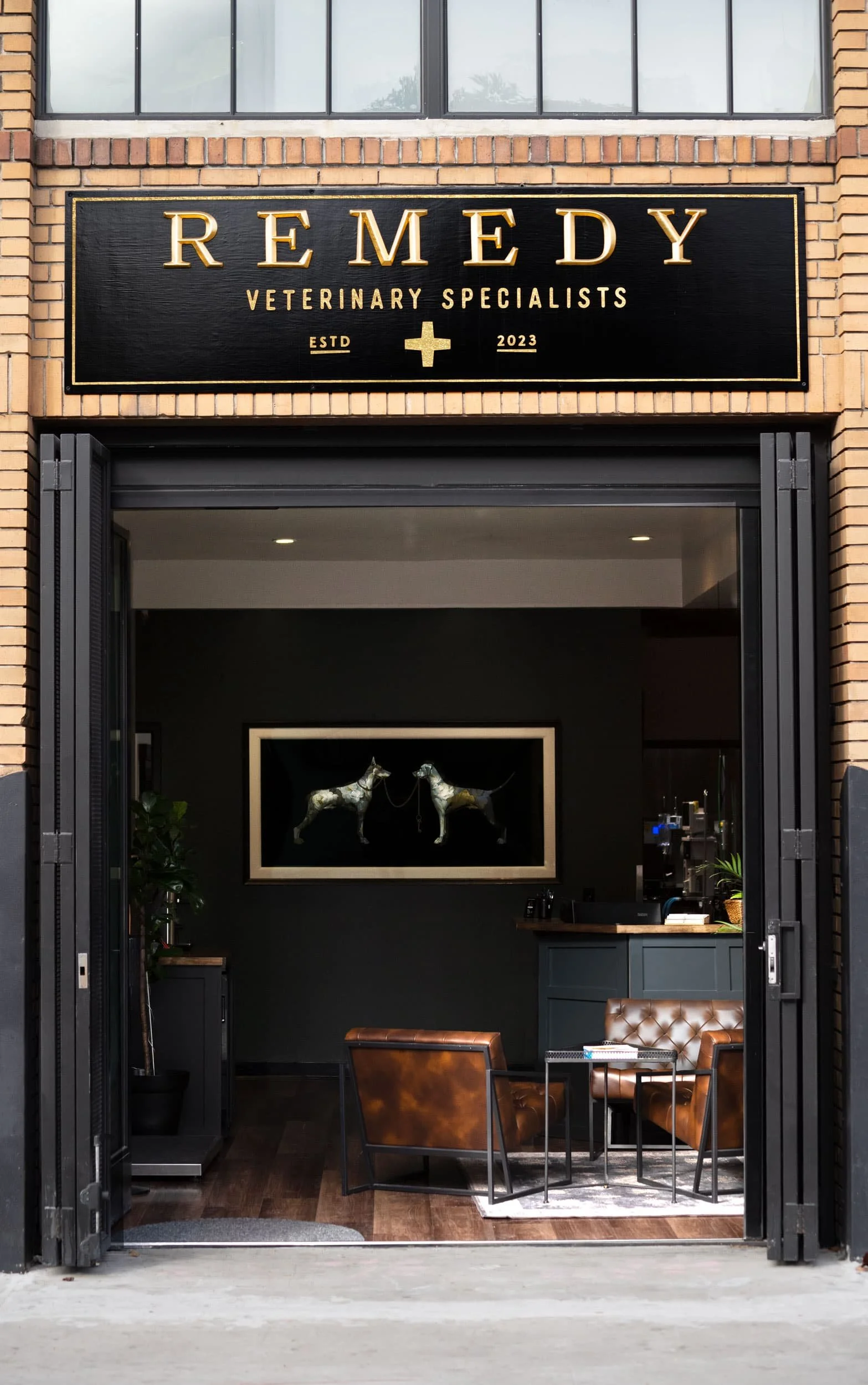 Entrance to Remedy Veterinary Specialists at 216 11th St in San Francisco, with a view into the calm, home-like waiting room
