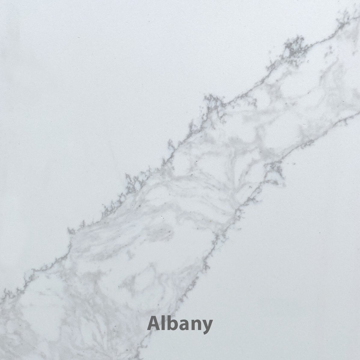Albany_V2_12x12.jpg
