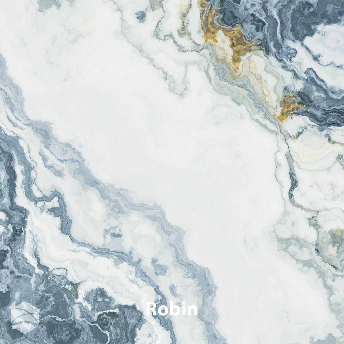 Robin_V2_12x12.jpg