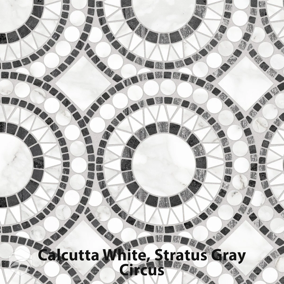 Calcutta White, Stratus Gray_Circus_V2_12x12.jpg