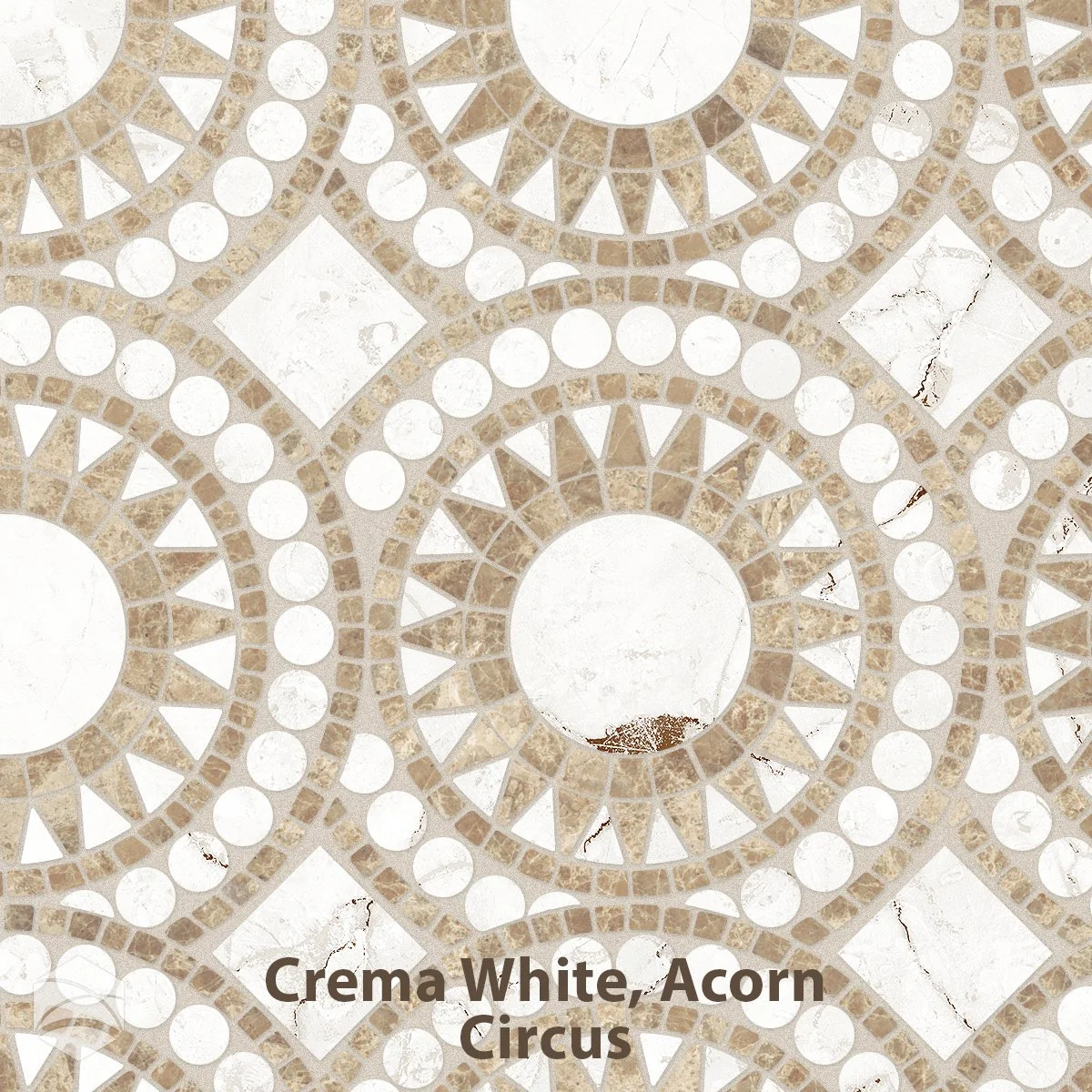 Crema White, Acorn_Circus_V2_12x12.jpg