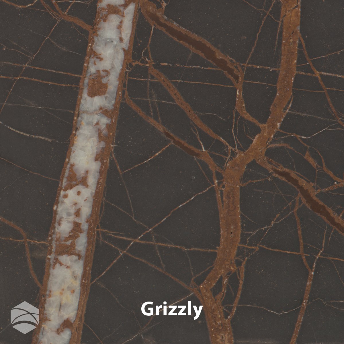 Grizzly_V2_12x12.jpg