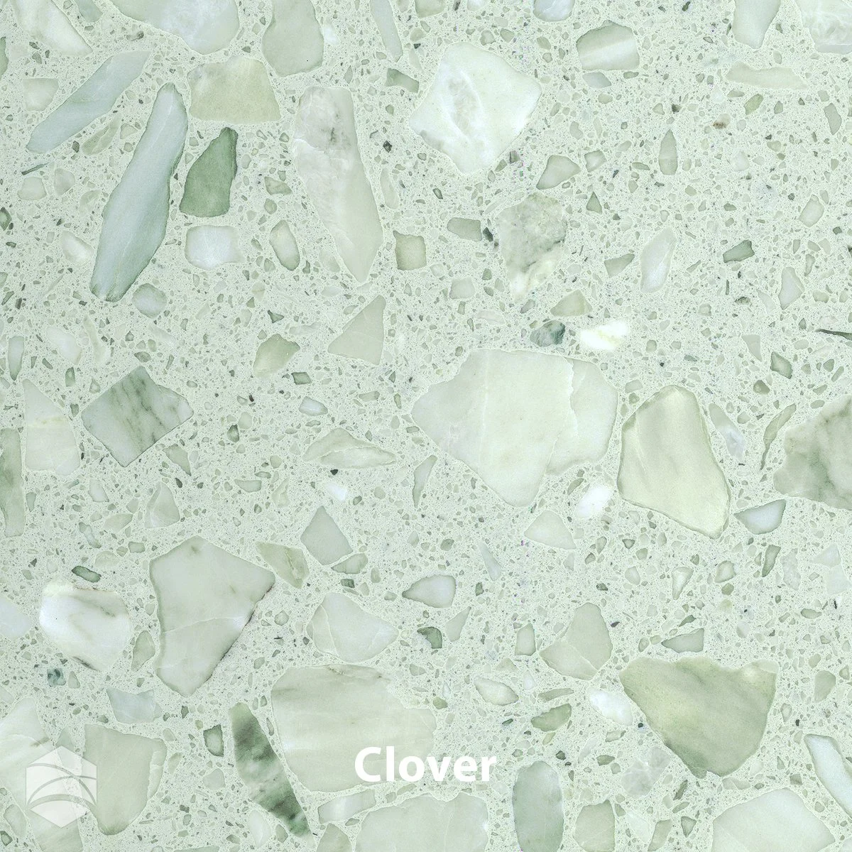 Clover_V2_12x12.jpg