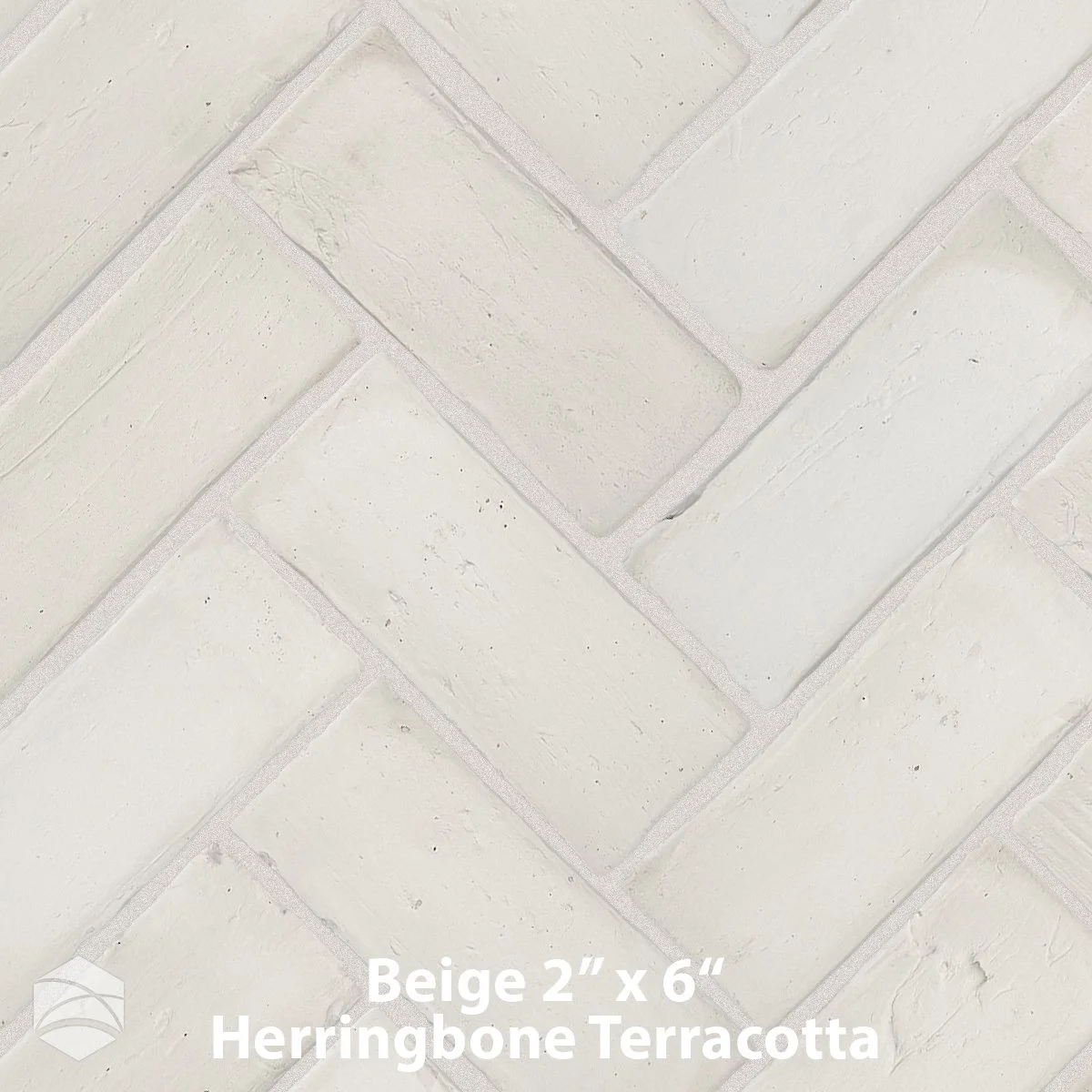 Beige_2x6 Herr Terracotta_V2_12x12.jpg