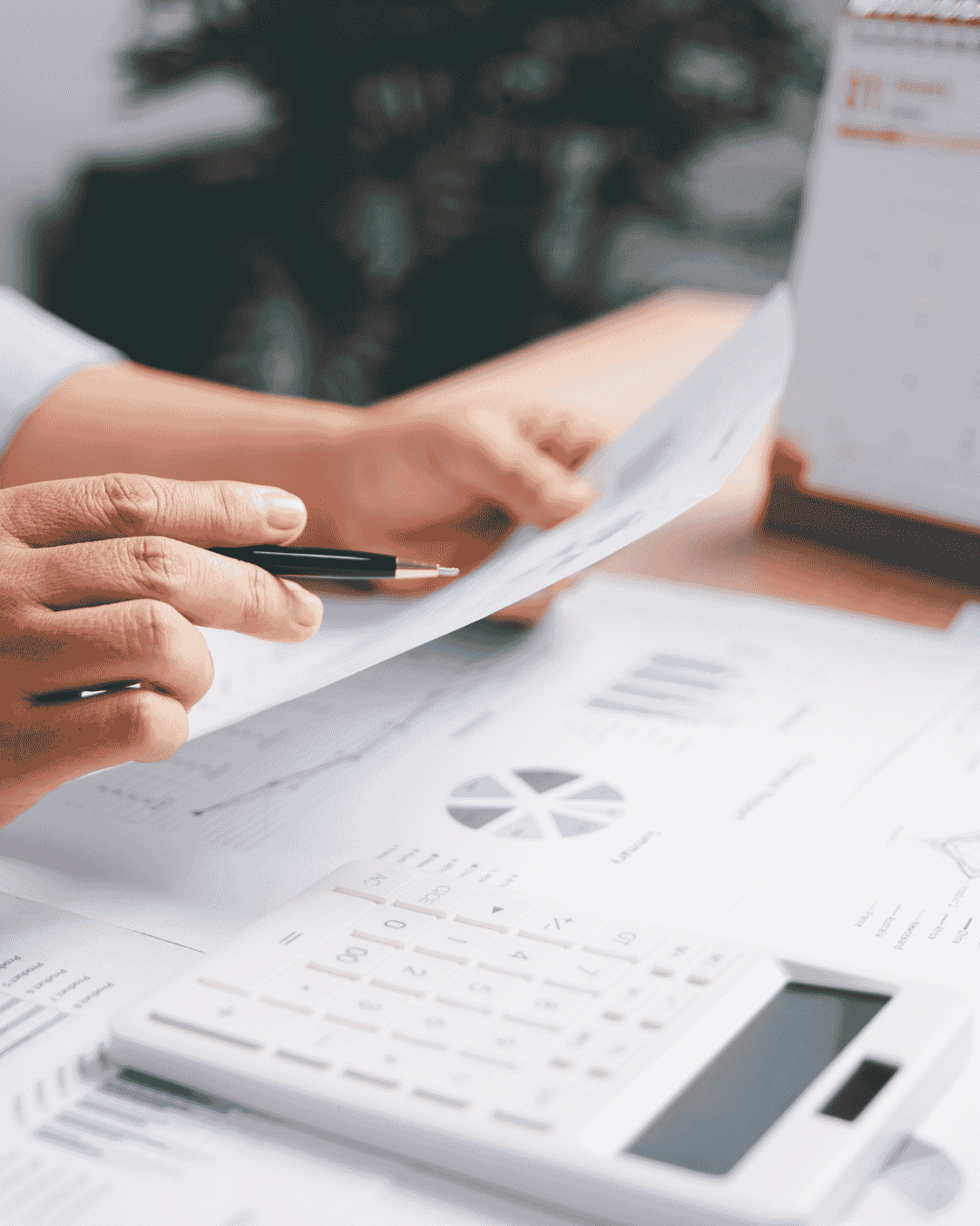 How Data Is Organized in DataPeak Datasets, Tables & Views