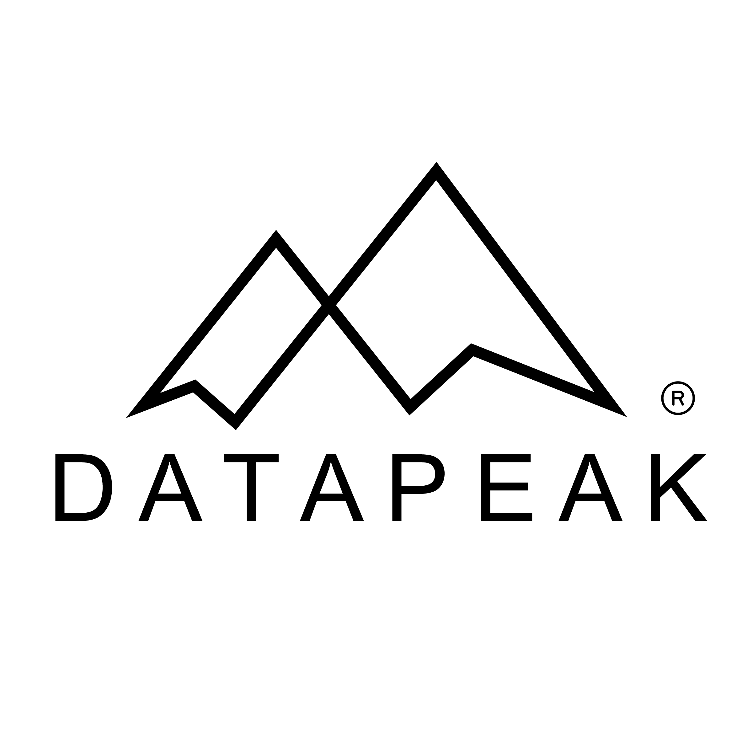 DataPeak Registered Trademark Logo Black