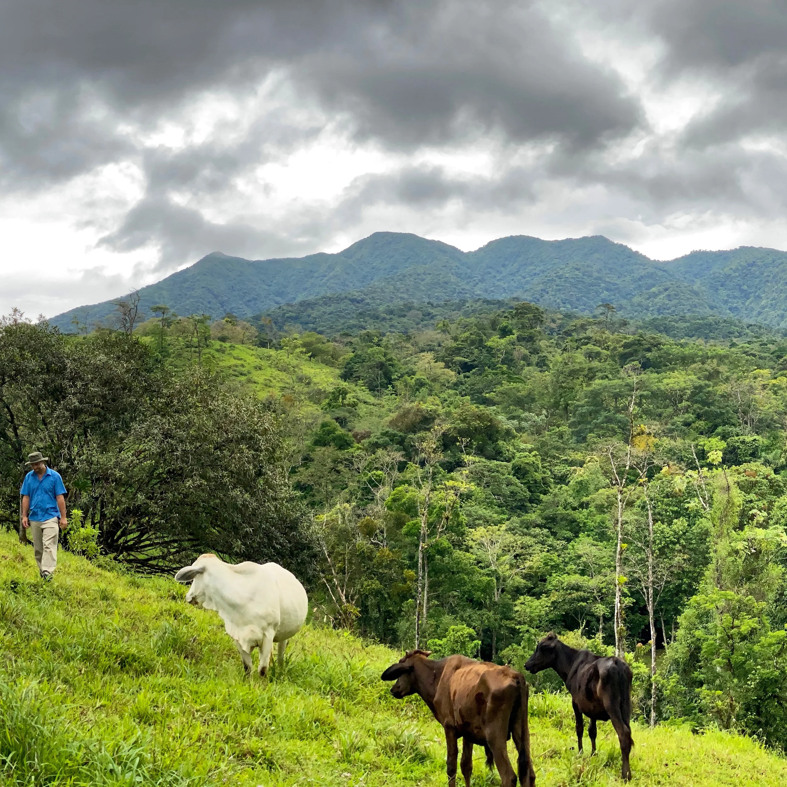 Benjamin in the upper cow pastures in Costa  Rica with Volcan Santa Maria in the background. 