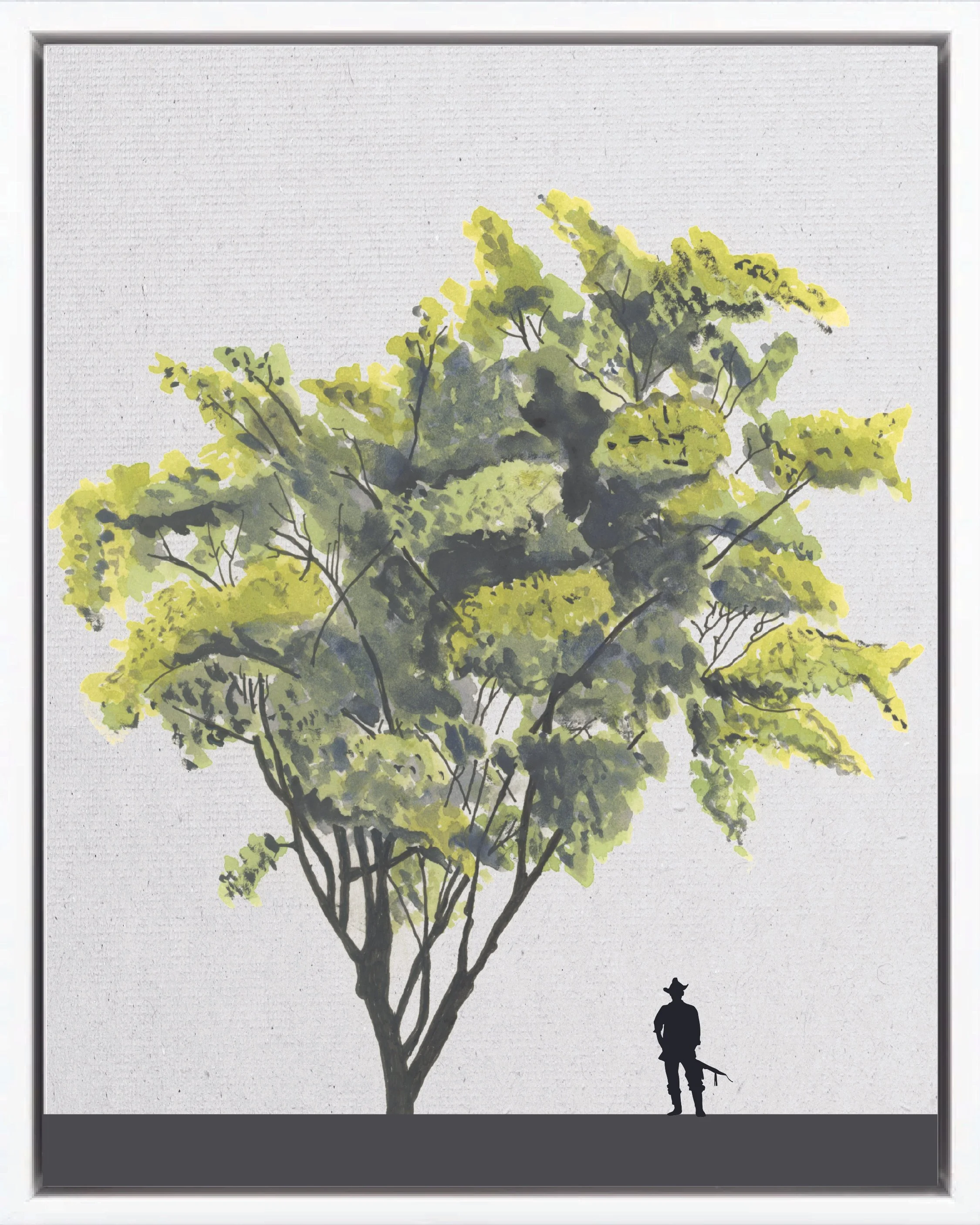 Illustration of Sotacaballo (Horsehide tree, horse balls, barbasquillo, guabito de río), Zygia longifolia, early secondary reforestation tree of Costa Rica's Neotropical Isthmian-Atlantic slope, at mature height with figure for scale.